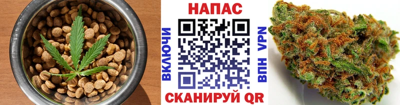 Canna-Cookies конопля  Черкесск 